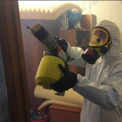 Уничтожение клопов в квартире. Котлас